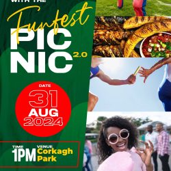 FunFest Picnic 2.0 – Dublin – by FunTrybe